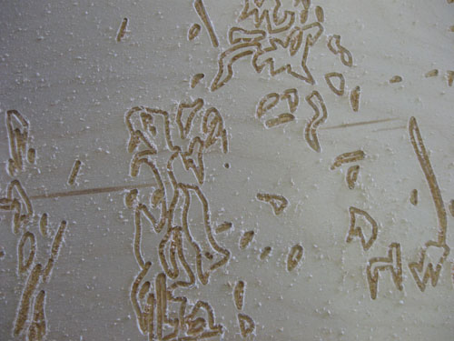 David Conn Making the Big Print 9