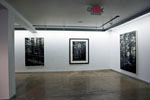David Conn installation Return - Artspace 111  2012